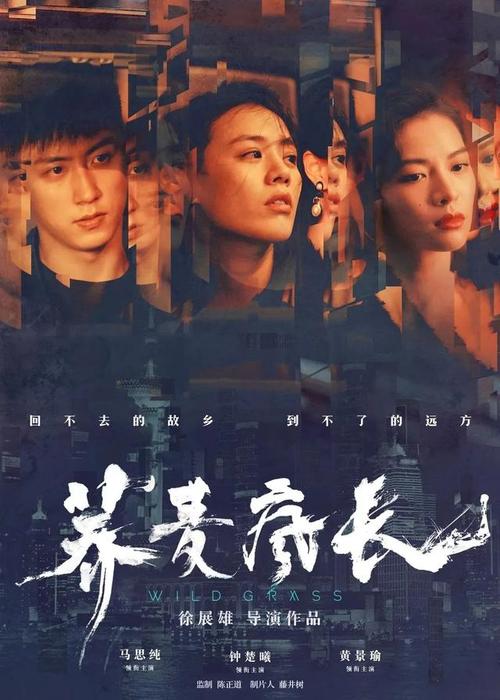 办假的厄尔汉学院成绩单